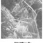 glsp11f1.gif