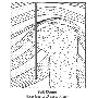 glsp81f1.gif