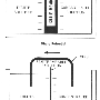 glsp35f1.gif