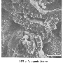 glsp12f1.gif