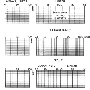 glsp83f1.gif