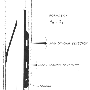 glsp21f1.gif