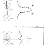 glsp68f2.gif